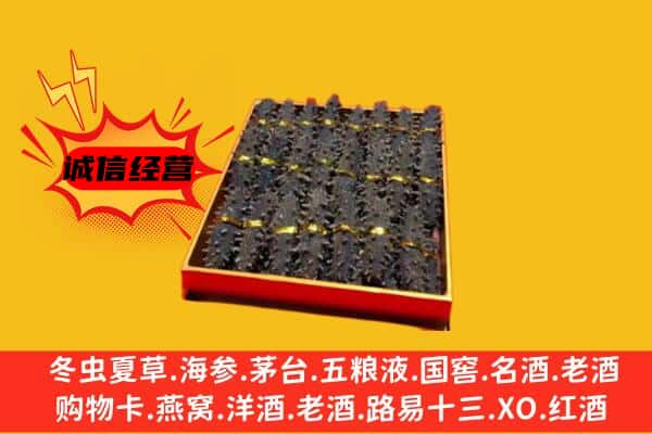 台湾嘉义县回收海参